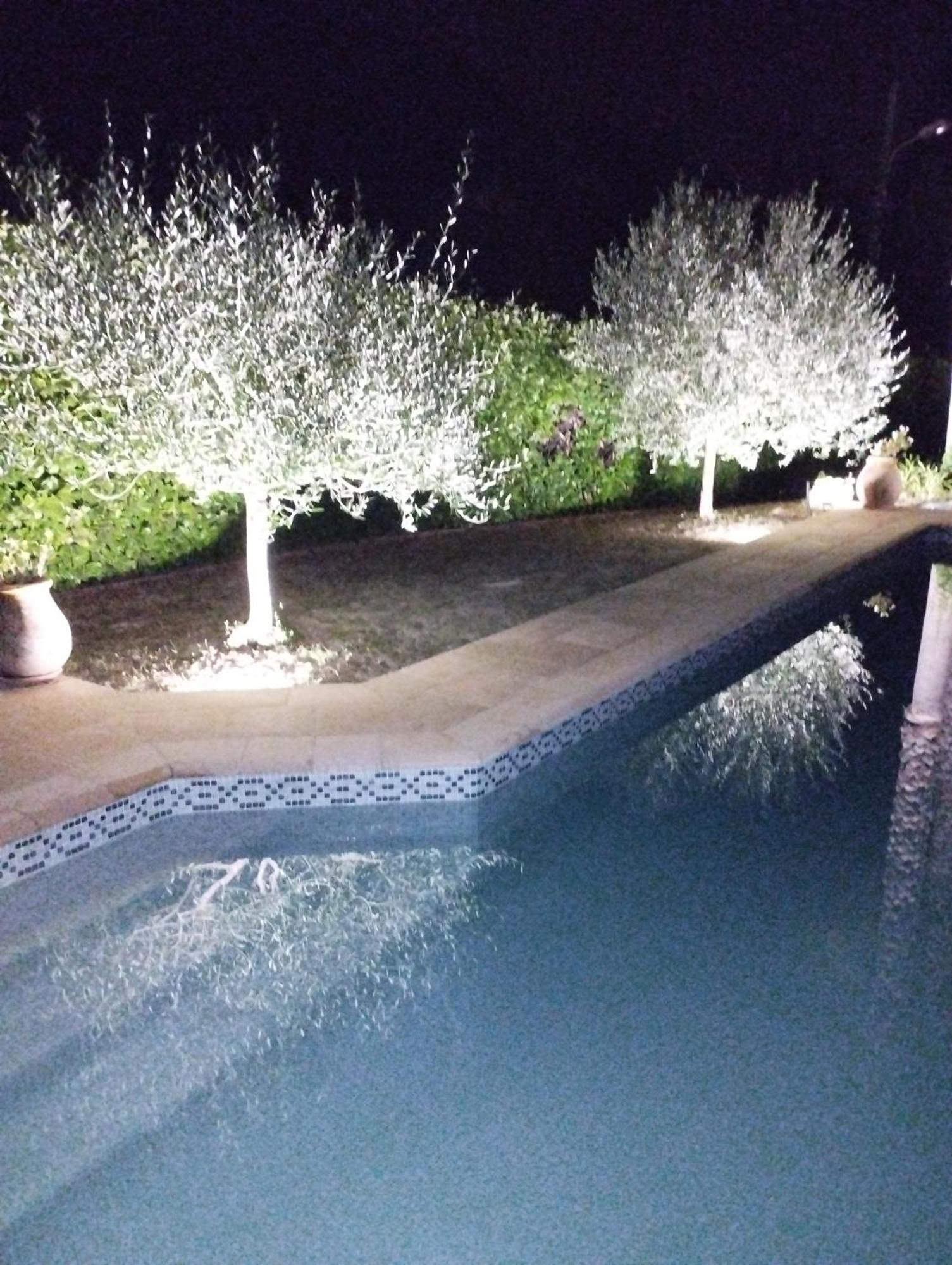 Au vallon rouge  Saint-Paul-de-Vence Extérieur photo
