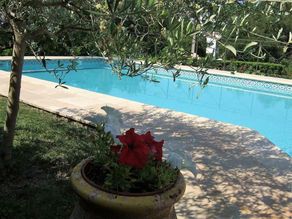 Au vallon rouge  Saint-Paul-de-Vence Extérieur photo